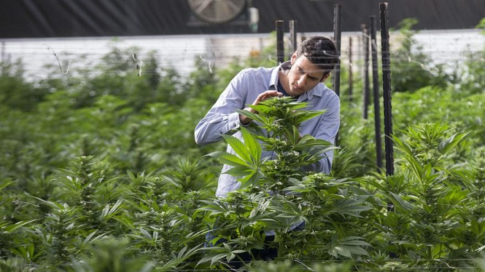 22 scientifiques de haut niveau plaident pour la décriminalisation des drogues